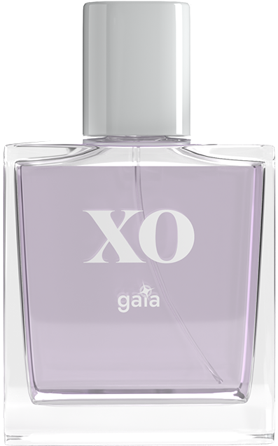 XO GAIA