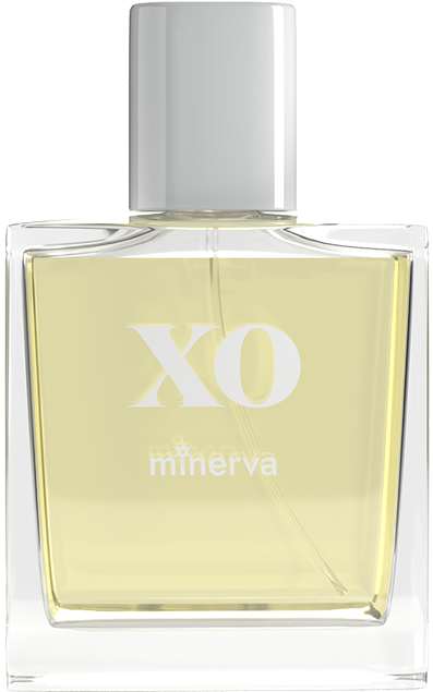 XO MINERVA